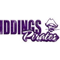 GLT1 PURPLE GLITTER Thumbnail